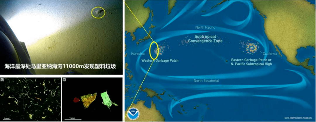 改性尼龍小課堂:可降解塑料 VS 再生塑料:誰更有效?誰更環保?
