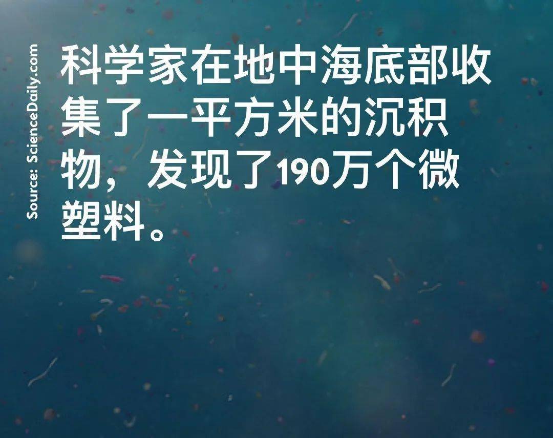 改性尼龍小課堂:可降解塑料 VS 再生塑料:誰更有效?誰更環保?